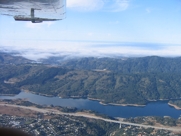 Bay Area