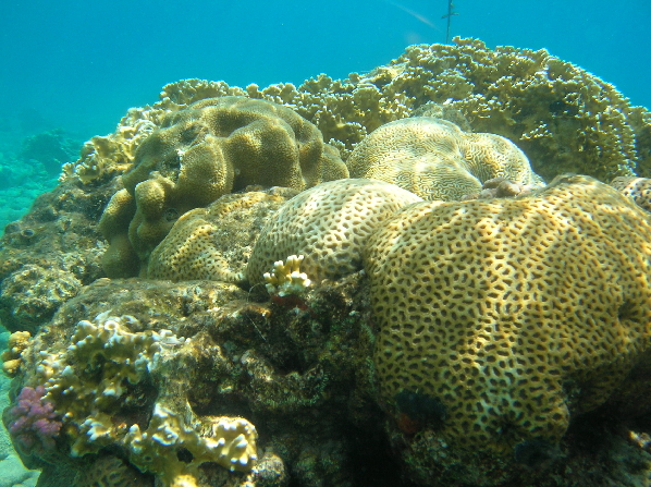 Eilat1