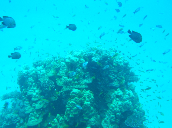 Eilat2