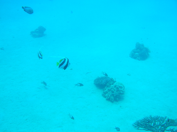 Eilat3