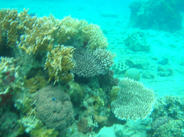 Eilat4