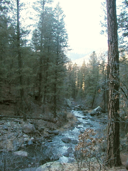Hiking-in-Jemez1