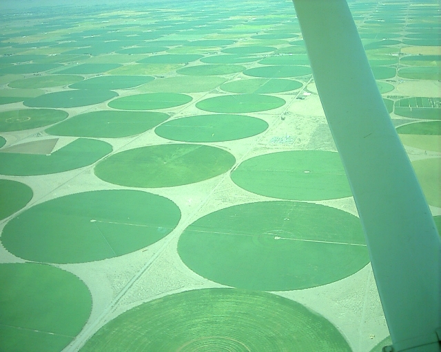 fields